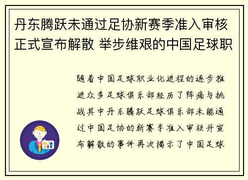 丹东腾跃未通过足协新赛季准入审核正式宣布解散 举步维艰的中国足球职业化困境再现